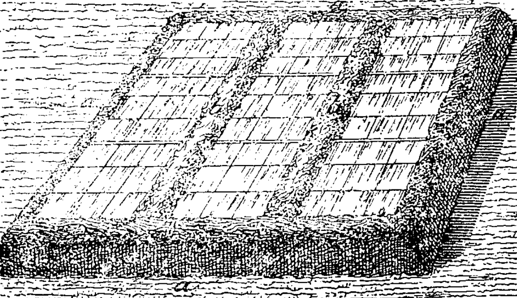 Couche chaudes avec plusieurs chassis en lignes paralèlles (Gressent)