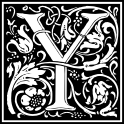 Y