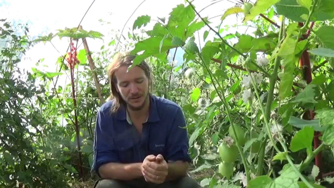 Damien Dekarz